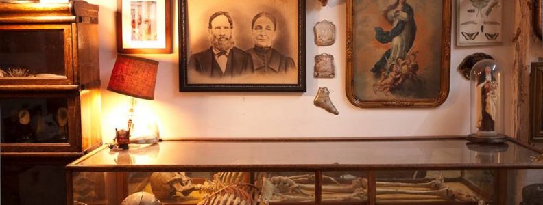 Culture Music Morbid Anatomy Museum Skeletons