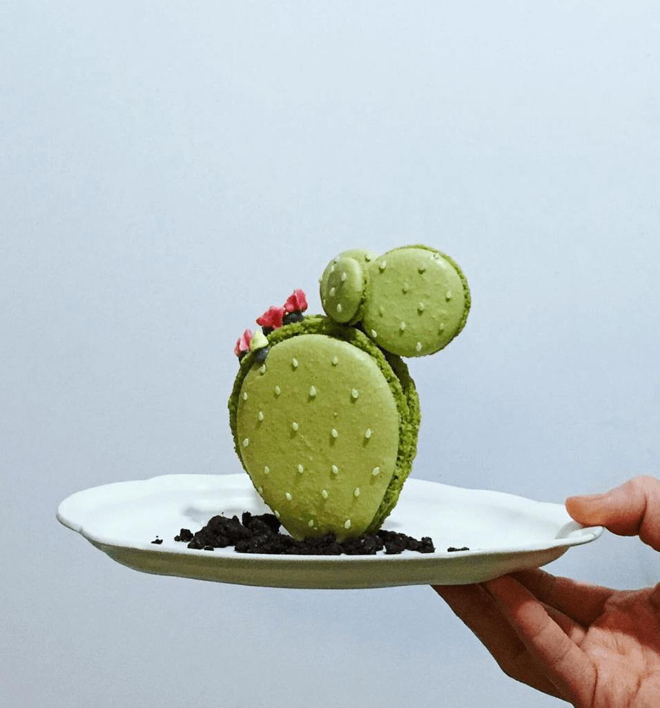 Dining Burrow Bakery Cactus