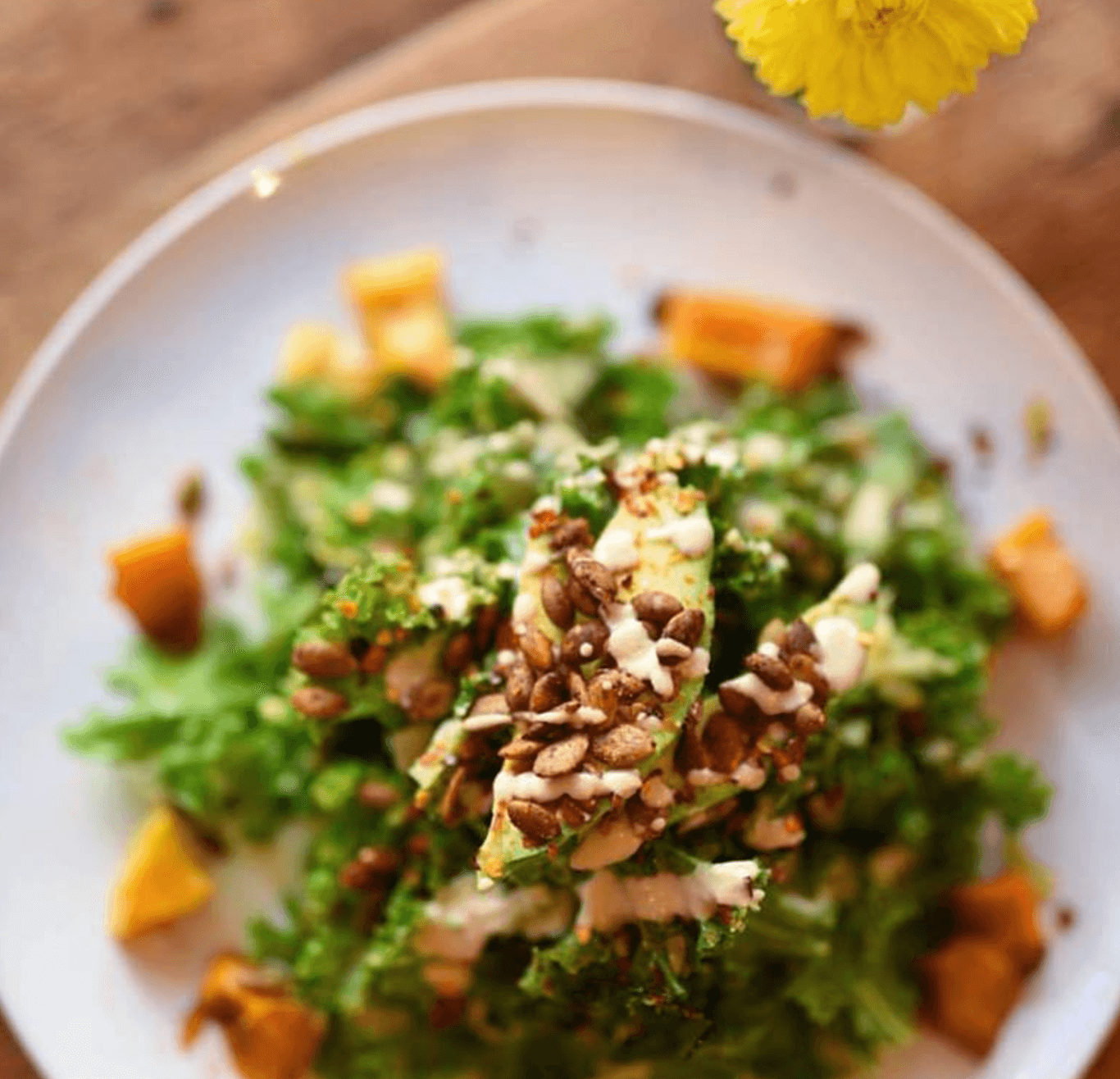 Dining-3-Vegan-Restaurants-Sun-In-Bloom-Salad-by-Kim-Julie-Hansen