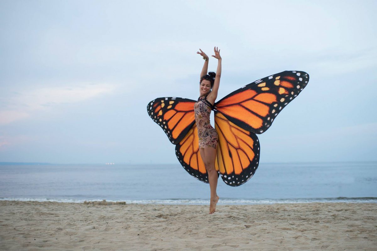 Events-Up-Coming-Gratitude-Migration-2016-Butterfly
