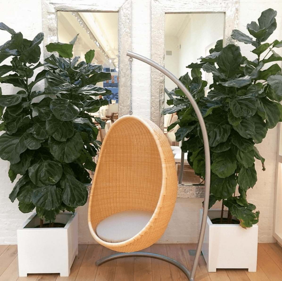 Shop Home and Kids Home Nature Hanging Chair