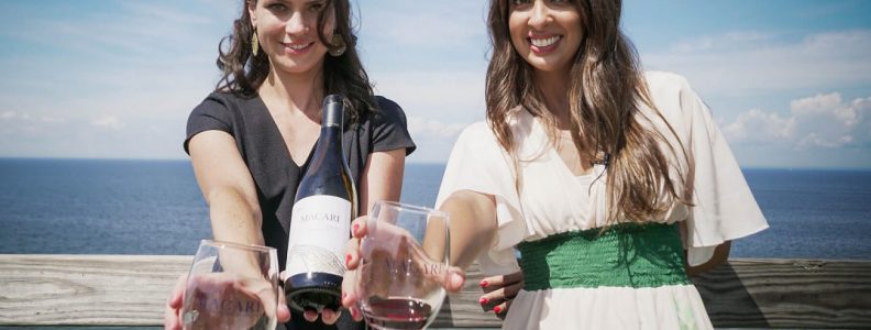 Day Trips and Travels Macari Vineyards Wine Tasting