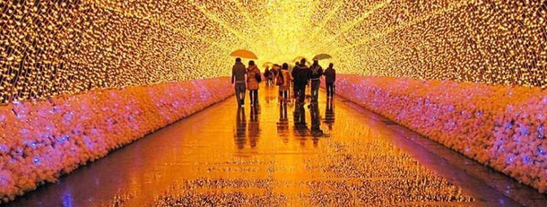 Events Up Coming NYC 1st Winter Lantern Festival Light Tunnel