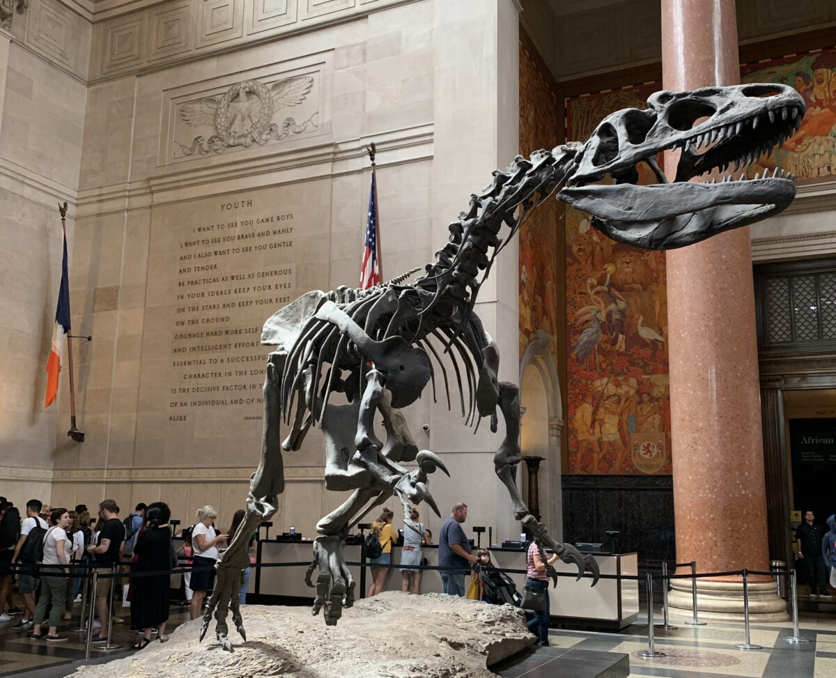 American Museum of Natural History Kid Friendly Things To Do in New York City Behind the Scenes NYC